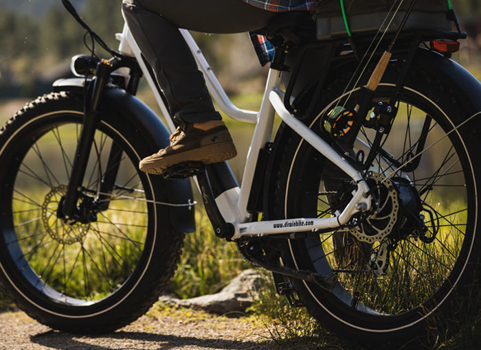 Dirwin fat tire electric bike for fishing bike