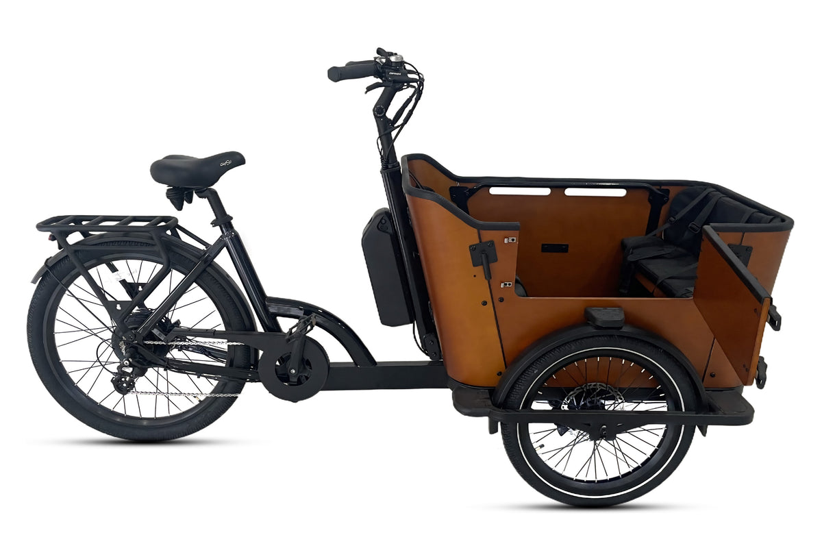 Caravan 2 Cargo Electric Bike