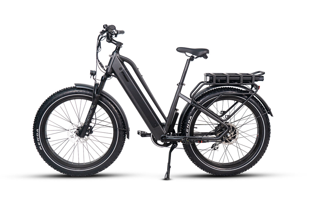 Dirwin Pioneer Plus Fat Tire Electric Bike black left side view