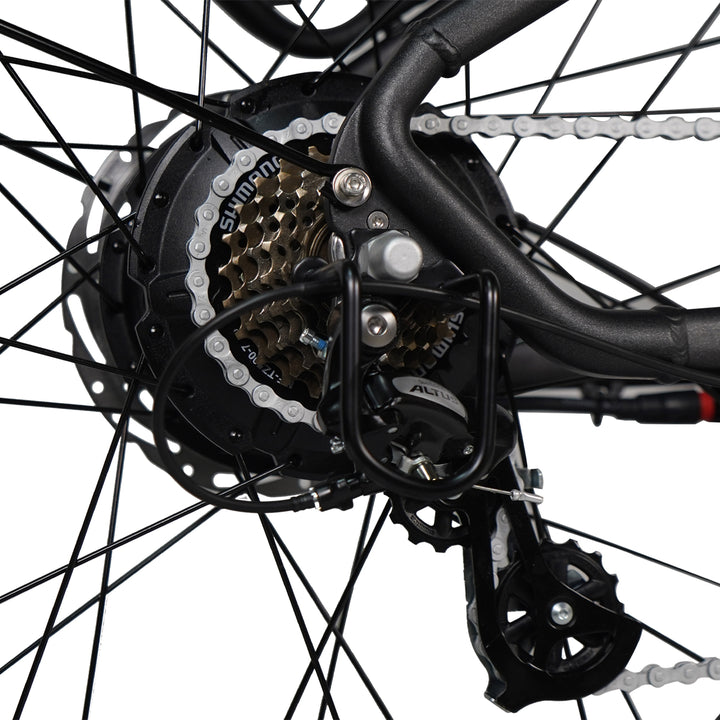 Dirwin Pioneer Plus Fat Tire Electric Bike rear derailleur view