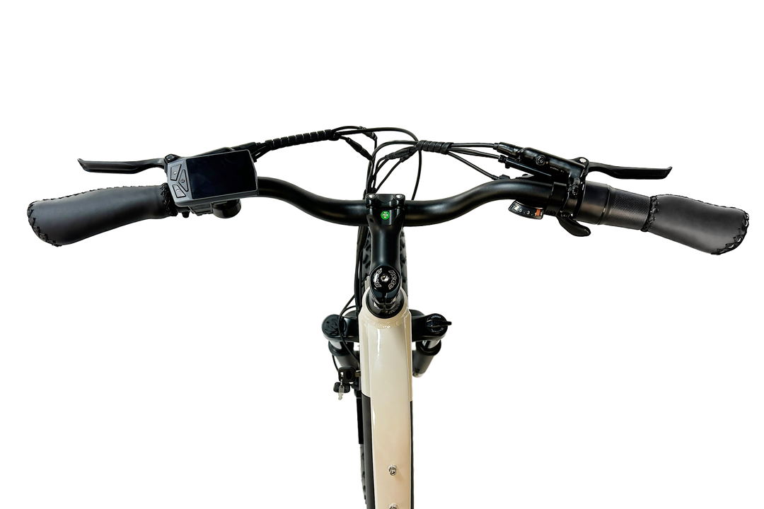 pioneer lite handle bar LCD display view
