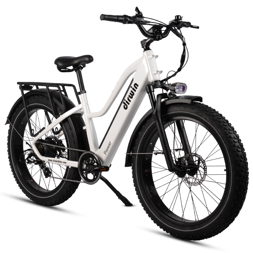 Dirwin Pioneer Fat Tire Step Through Electric Bikes