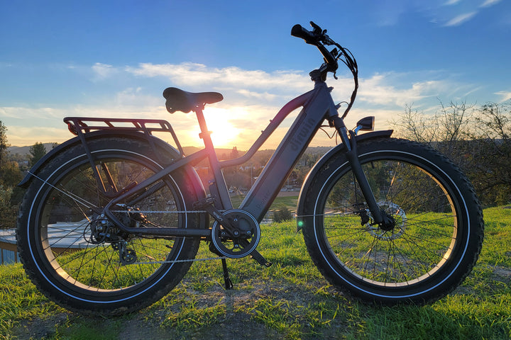 Dirwin Pioneer Step-thru Fat Tire Electric Bike