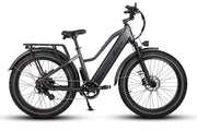 Dirwin Pioneer Step-thru Fat Tire Electric Bike 
