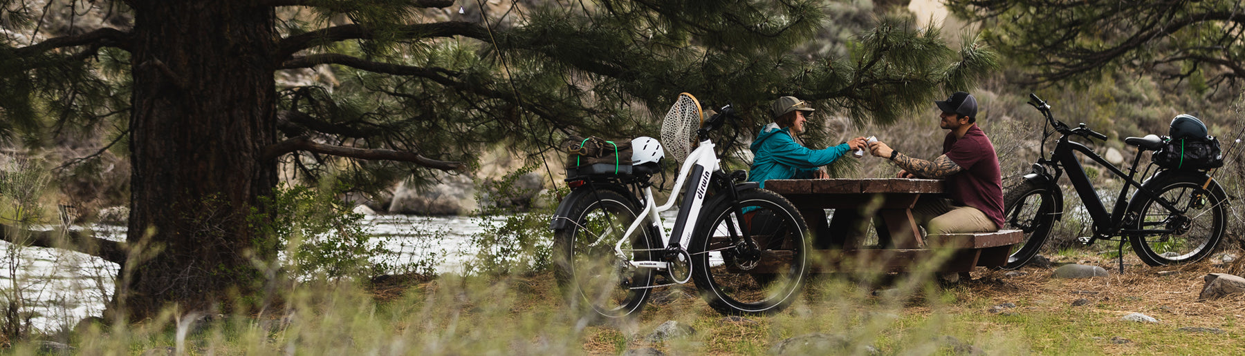 Dirwin bike , Fishing bike,Explore the World - Find What You Seek