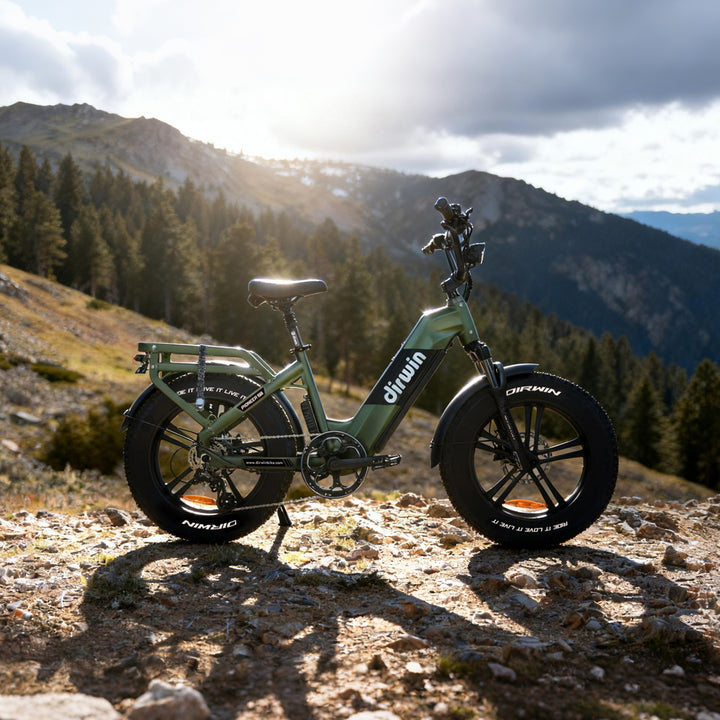 Pioneer 2 Hunting Electric Bike