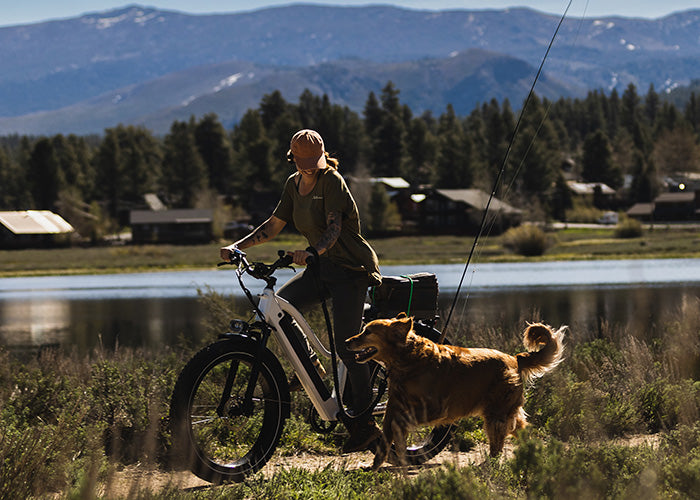 Dirwin electric bike with fishing attachment