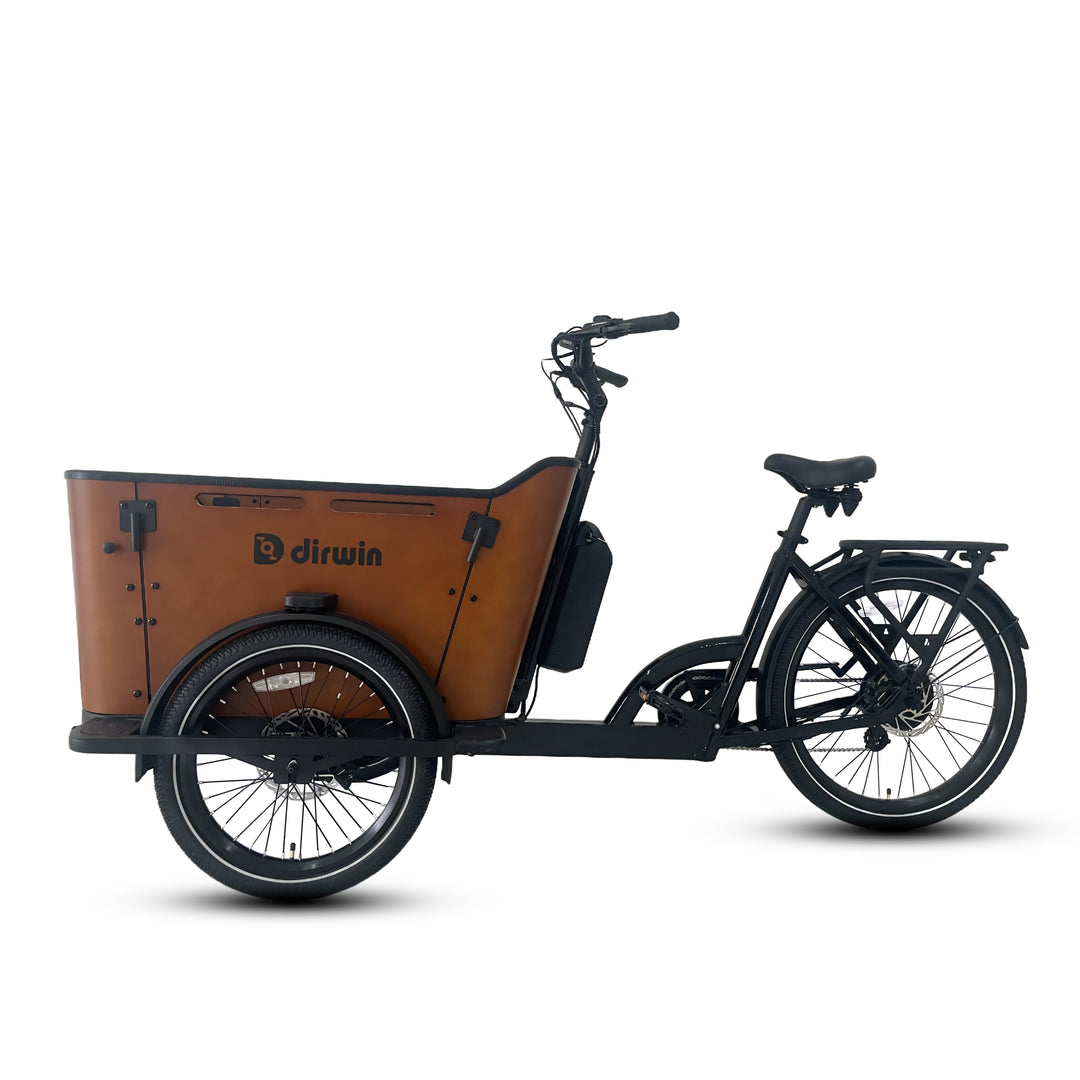 Caravan 2 Cargo Electric Bike