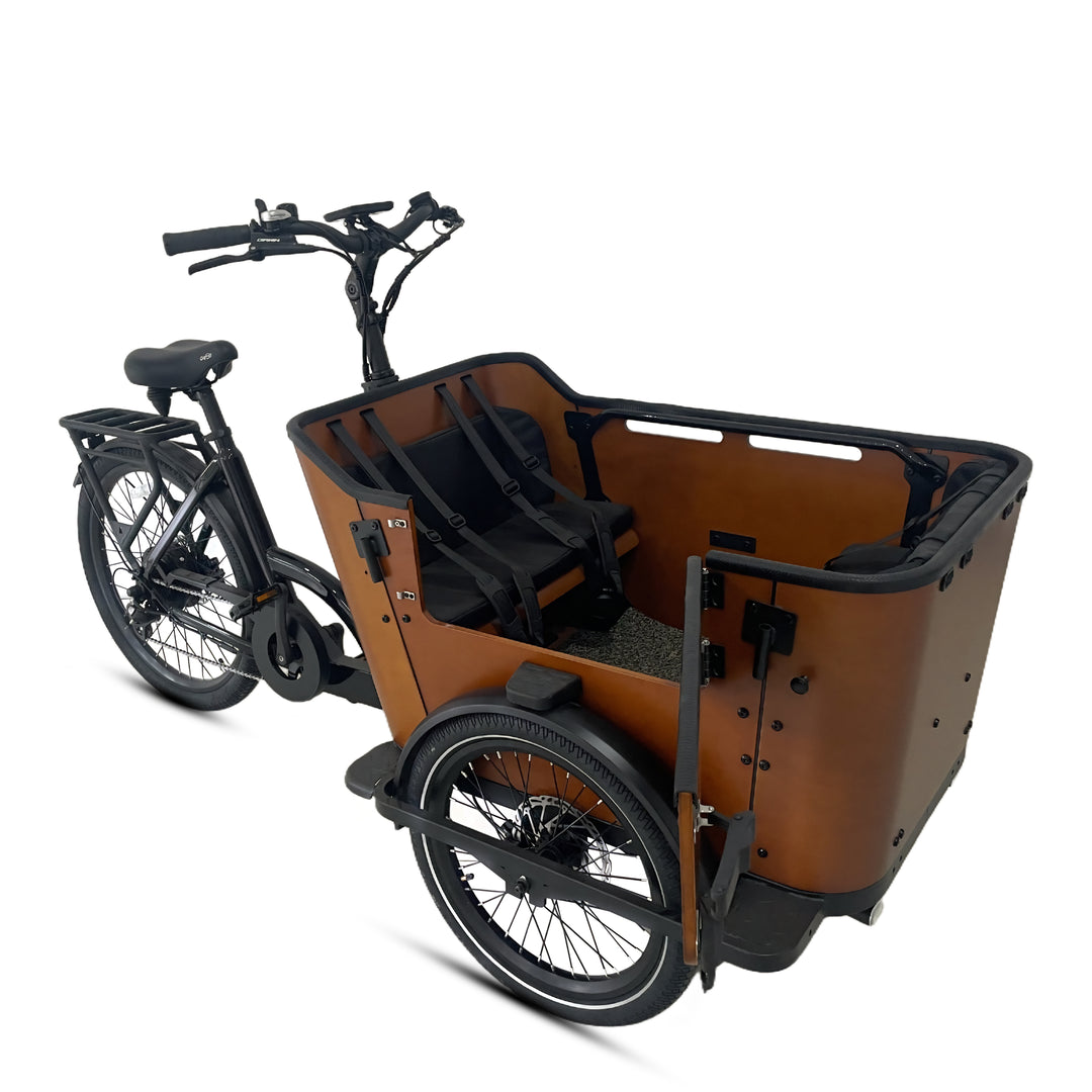 Caravan 2 Cargo Electric Bike