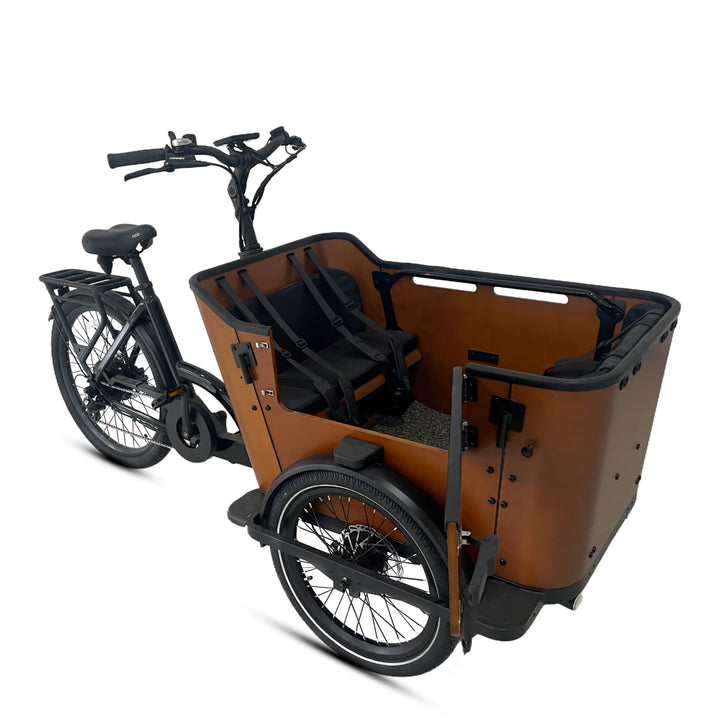 Caravan 2 Cargo Electric Bike