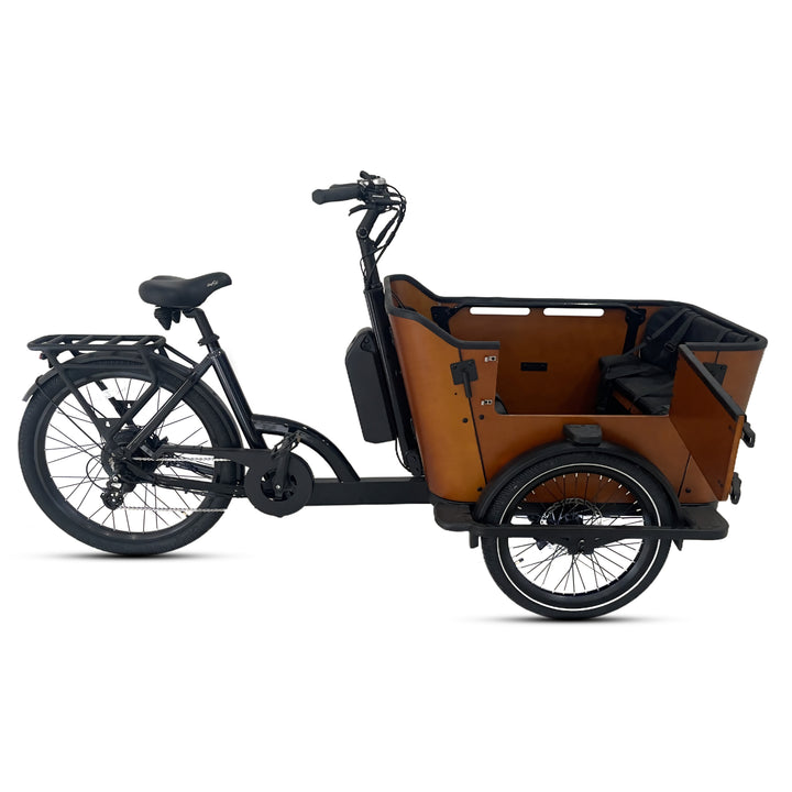 Caravan 2 Cargo Electric Bike