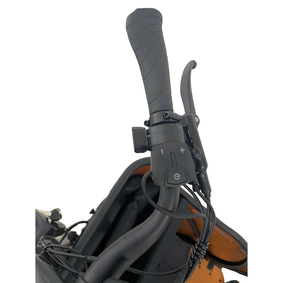 Caravan 2 Cargo Electric Bike