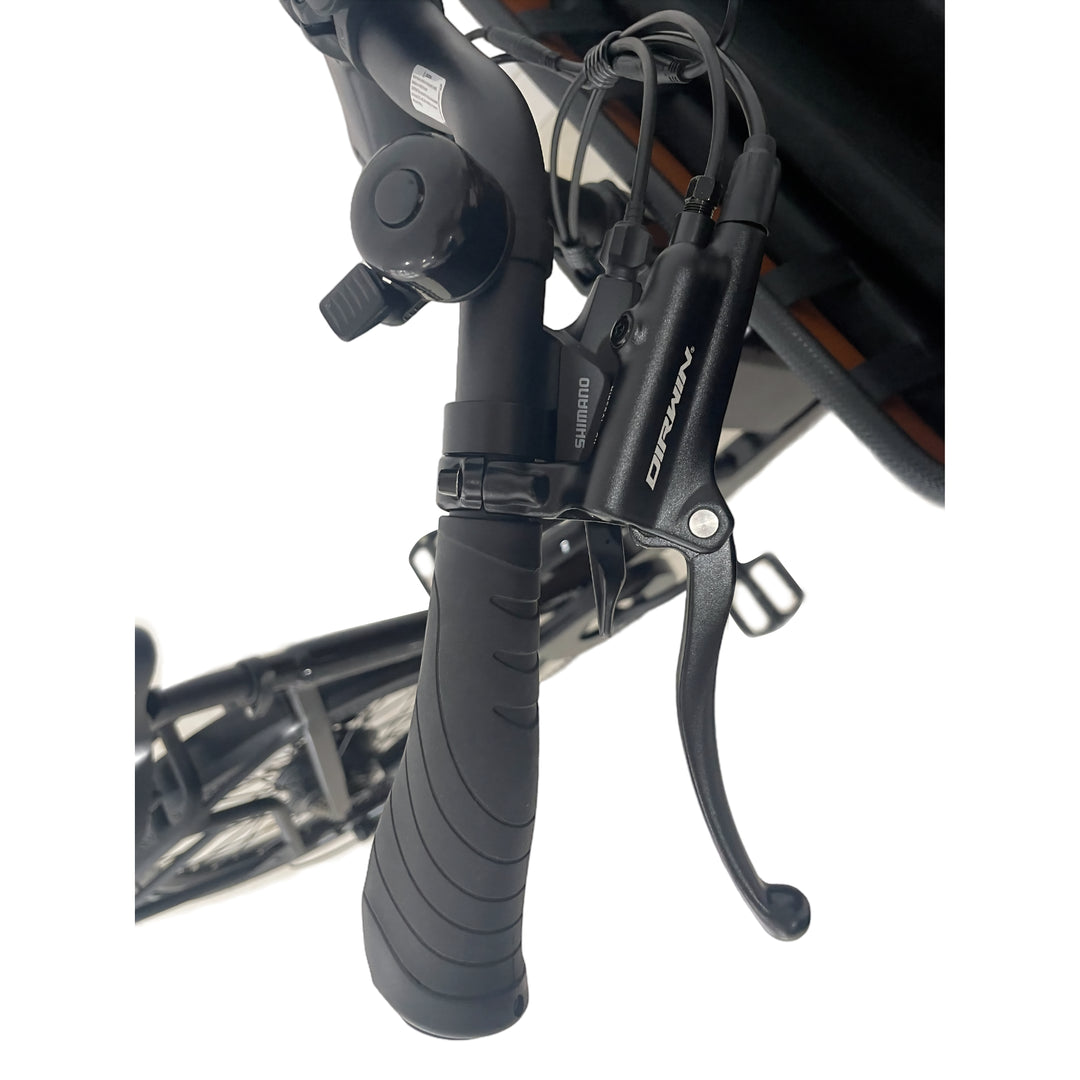 Caravan 2 Cargo Electric Bike