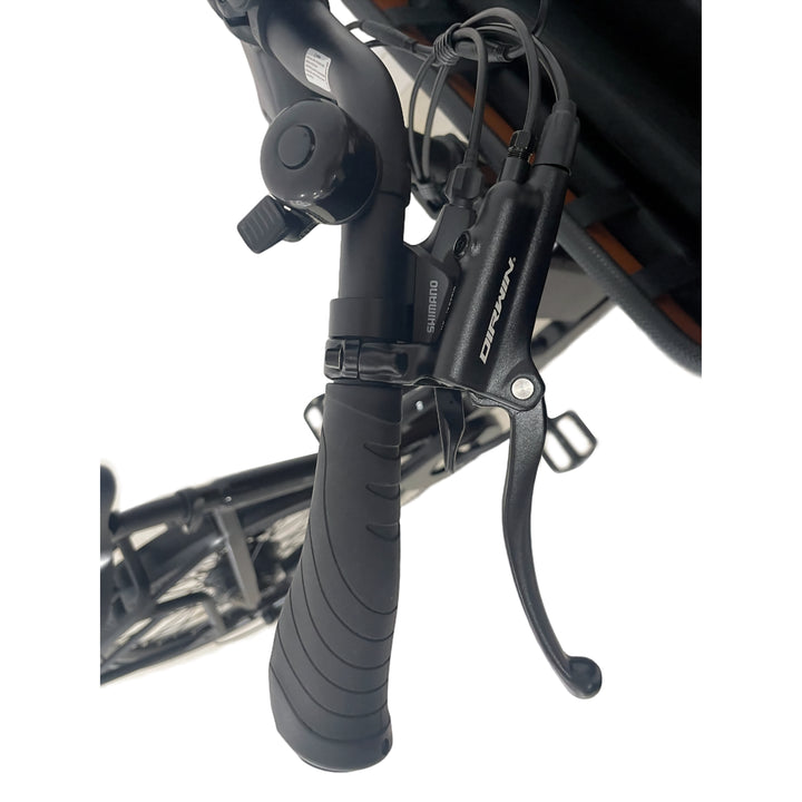 Caravan 2 Cargo Electric Bike