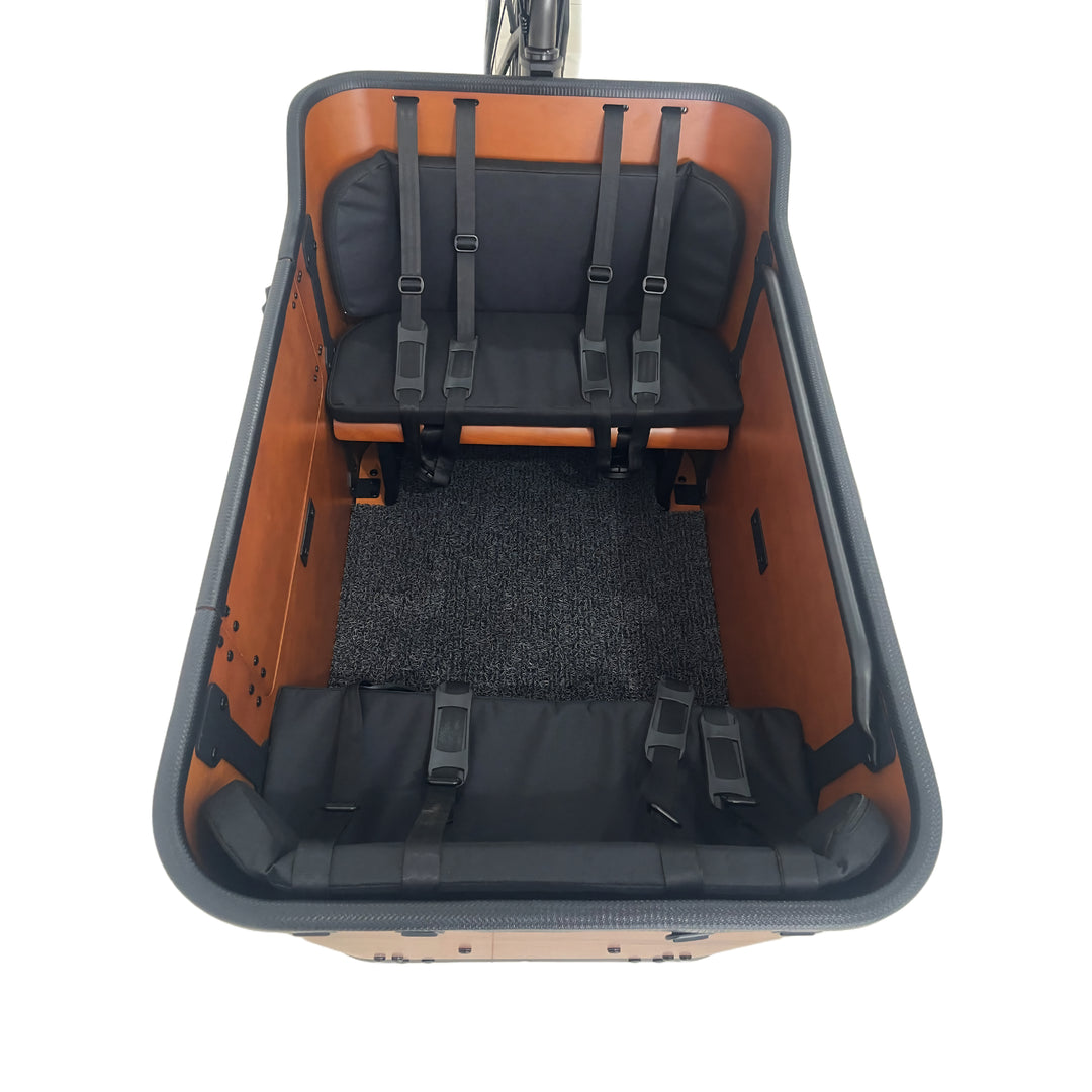Caravan 2 Cargo Electric Bike