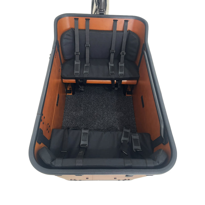 Caravan 2 Cargo Electric Bike