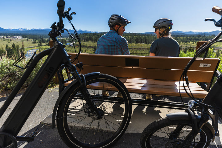 Pacer Lite Electric Bike