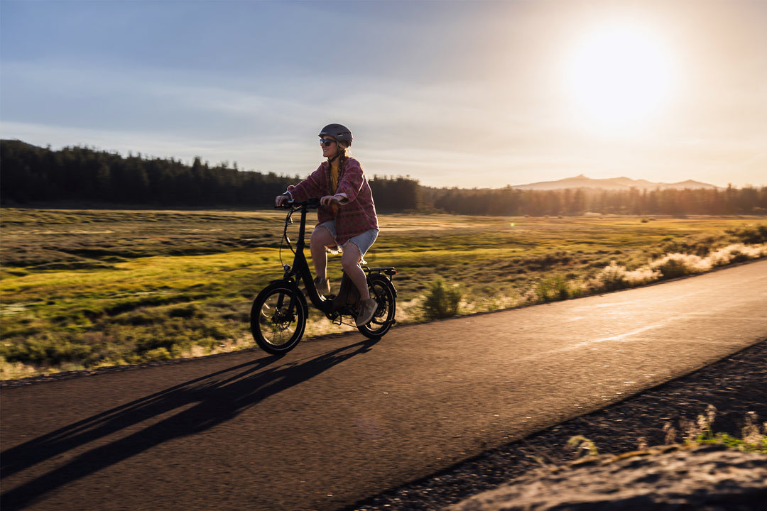 Voyager Folding Electric Bike