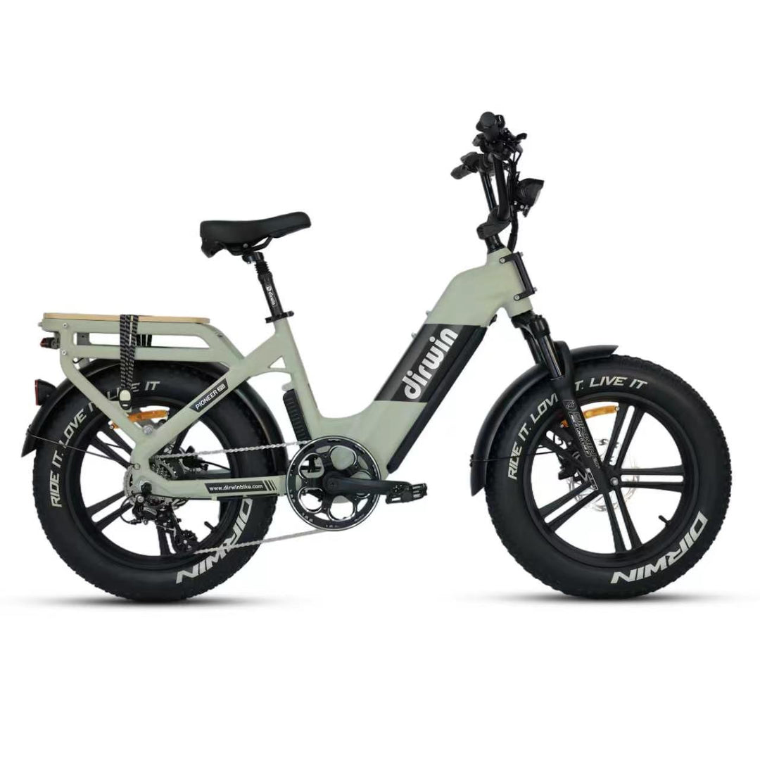 Pioneer 2 Long Range Electric Bike