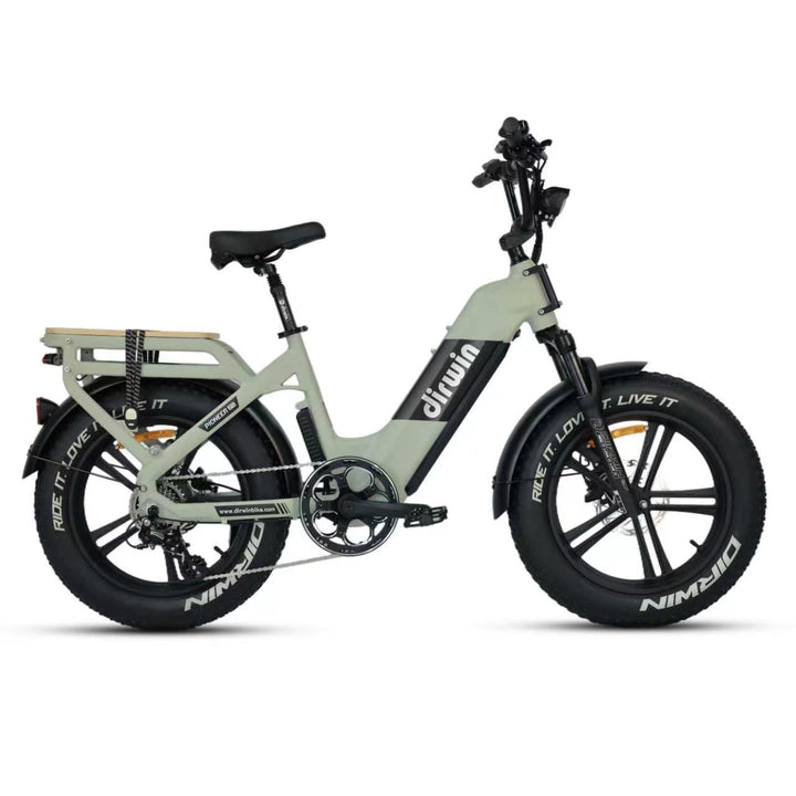 Pioneer 2 Long Range Electric Bike