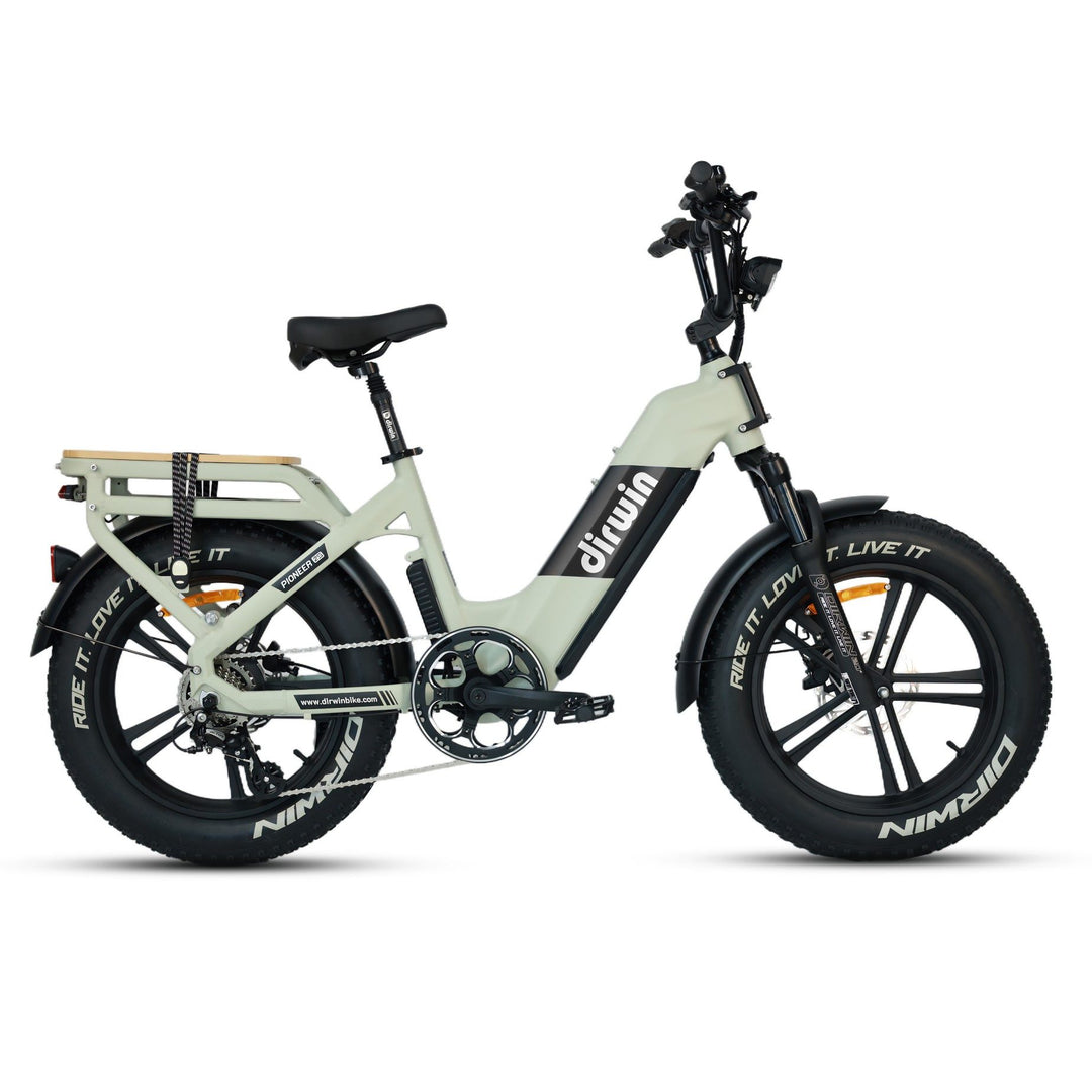 Pioneer 2 Hunting Electric Bike
