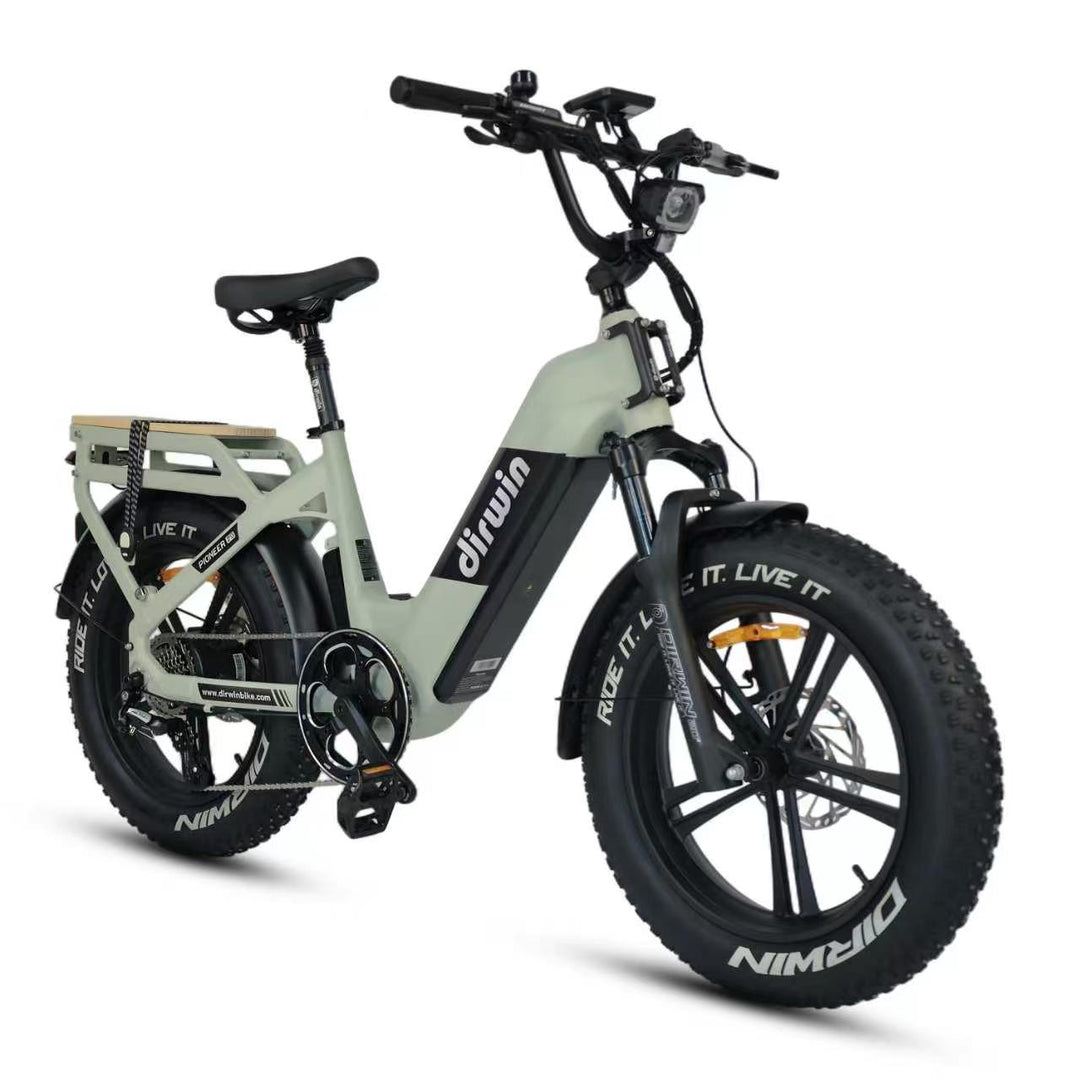 Pioneer 2 Long Range Electric Bike