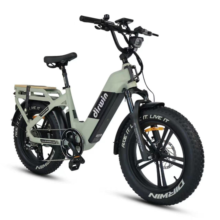 Pioneer 2 Long Range Electric Bike