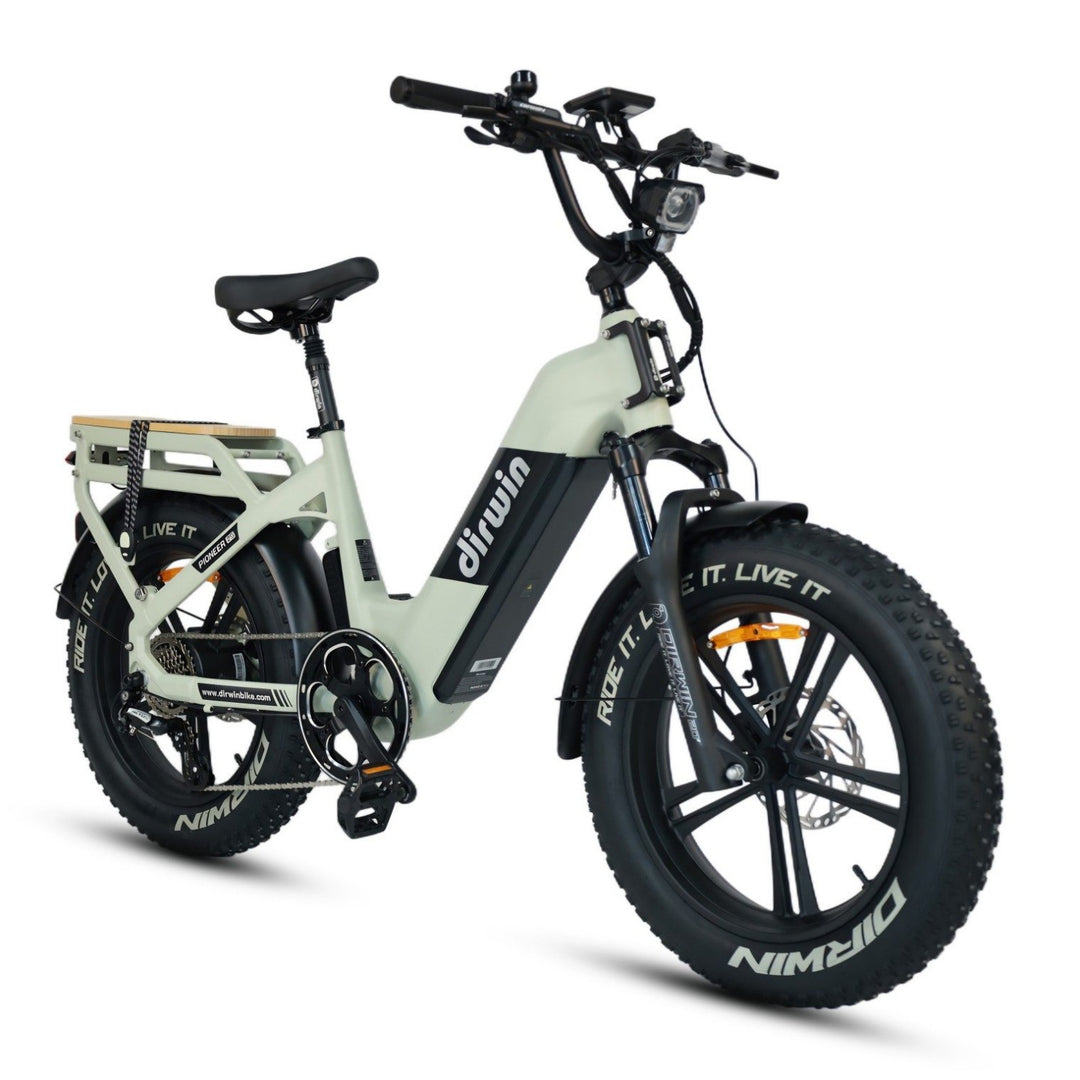 Pioneer 2 Hunting Electric Bike