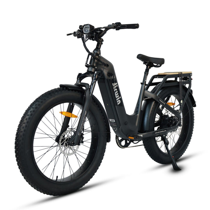 Pioneer 2 Hunting Electric Bike