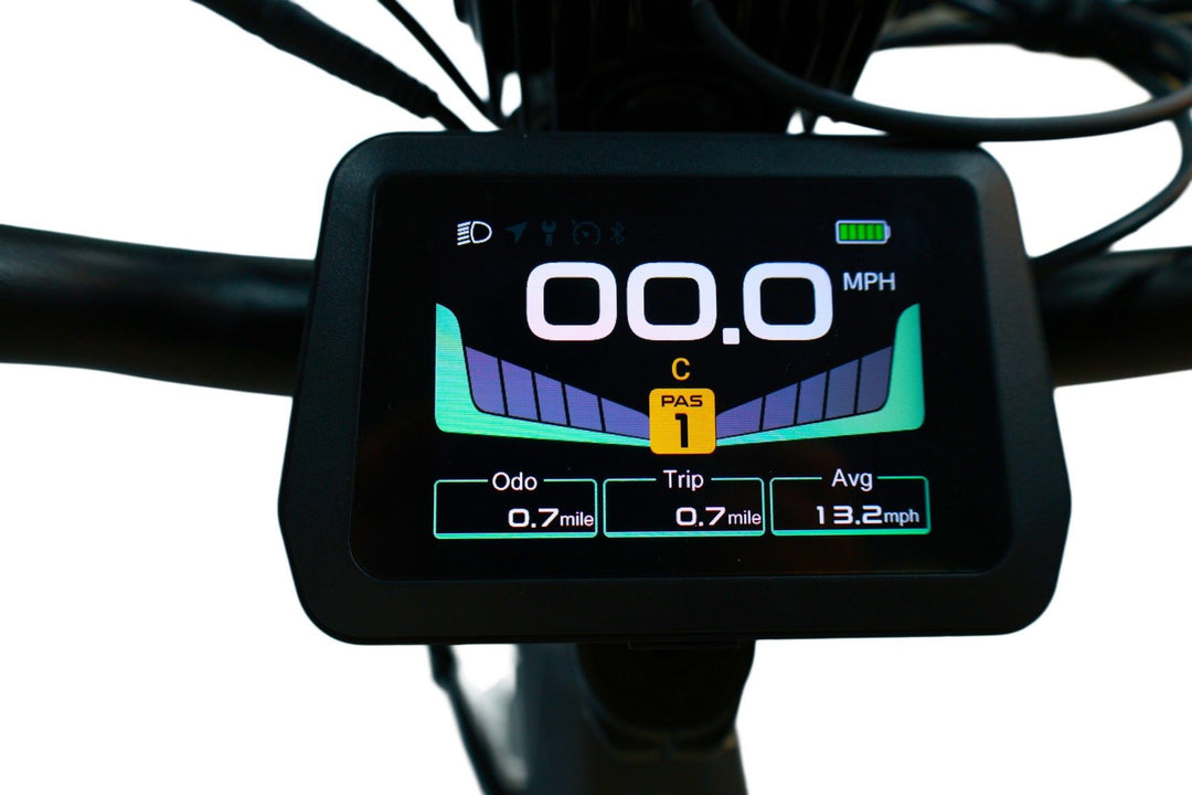 Pioneer 2 Hunting Electric Bike