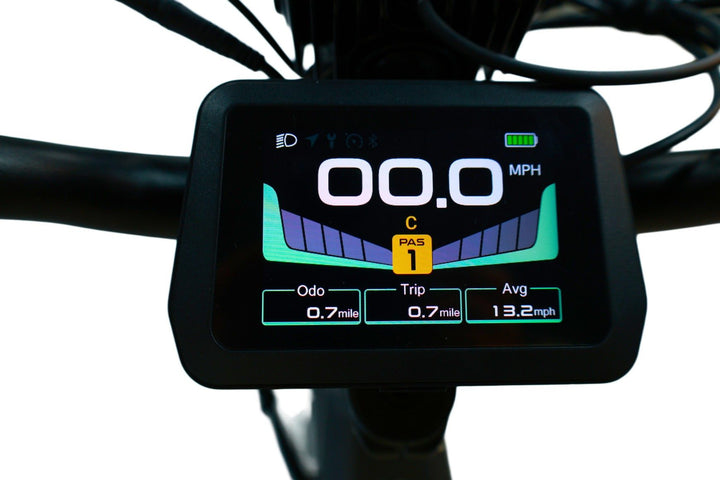 Pioneer 2 Hunting Electric Bike