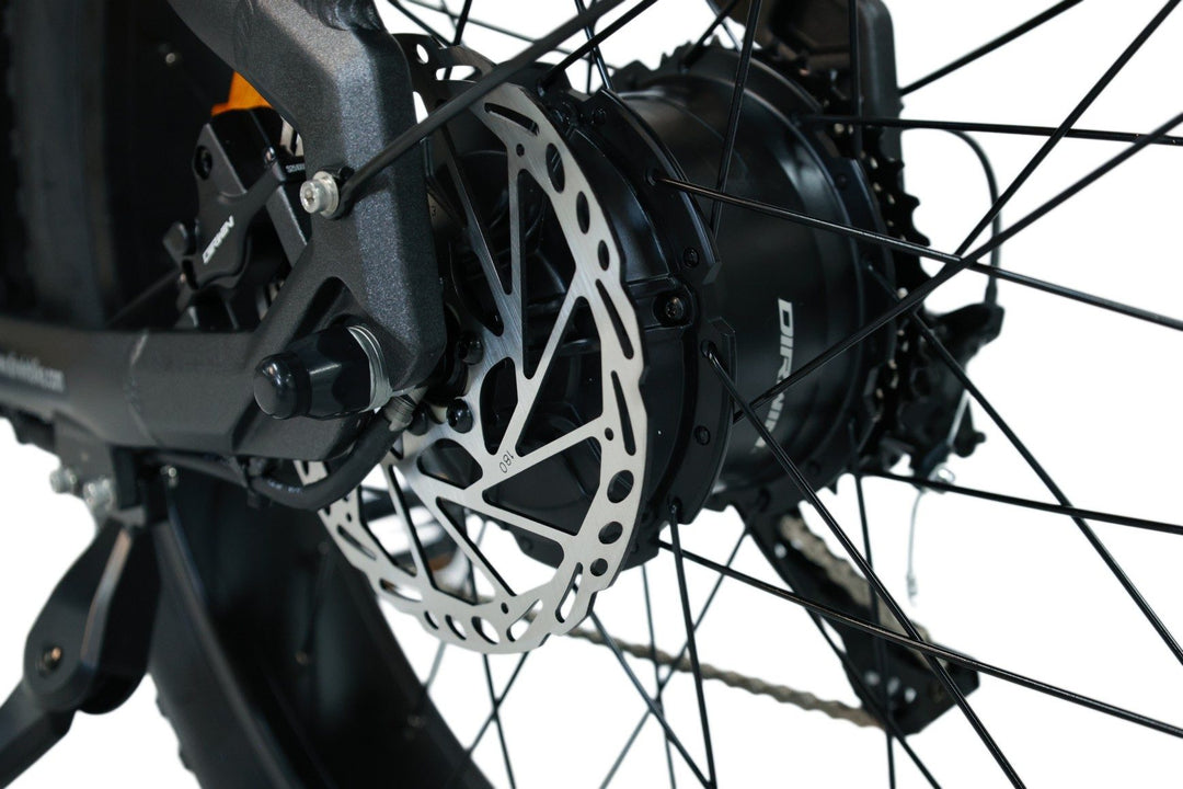 Pioneer 2 Hunting Electric Bike