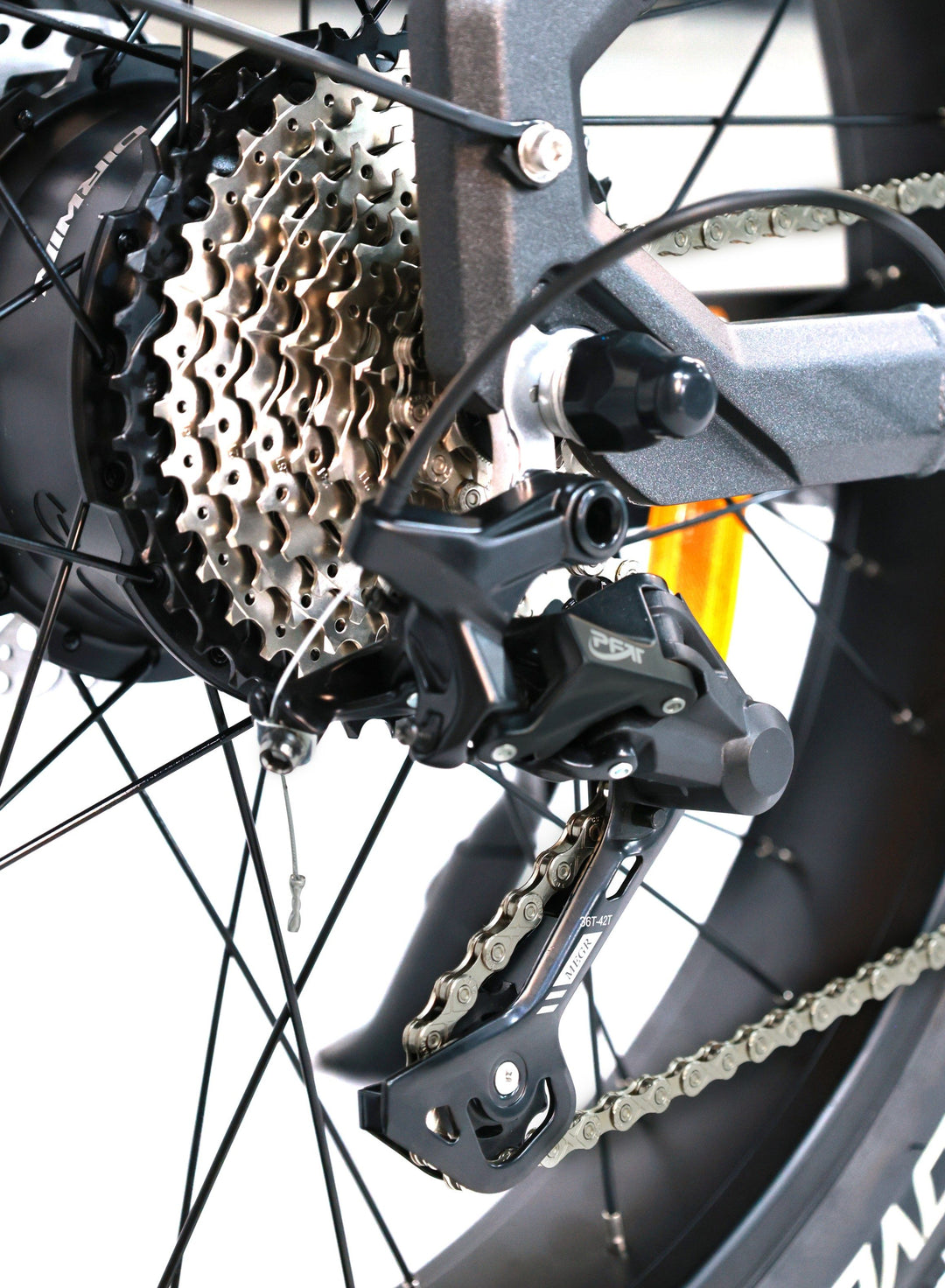 Pioneer 2 Hunting Electric Bike