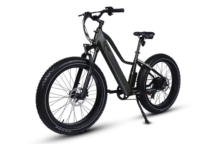 Pioneer Lite Fat Tire E-Bike