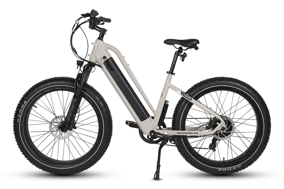 Pioneer Lite Fat Tire E-Bike