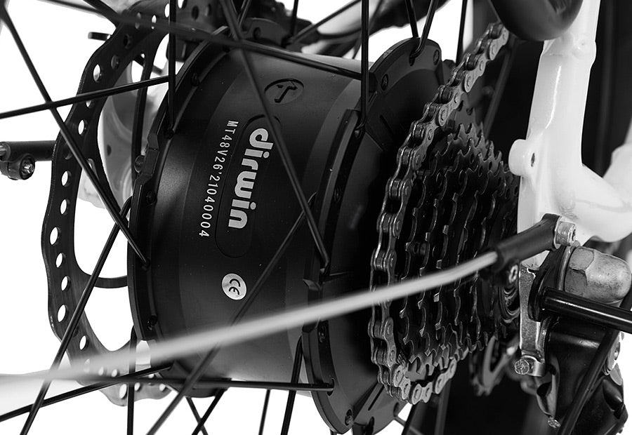 Dirwin electric bike,HIGH PERFORMANCE MOTOR 