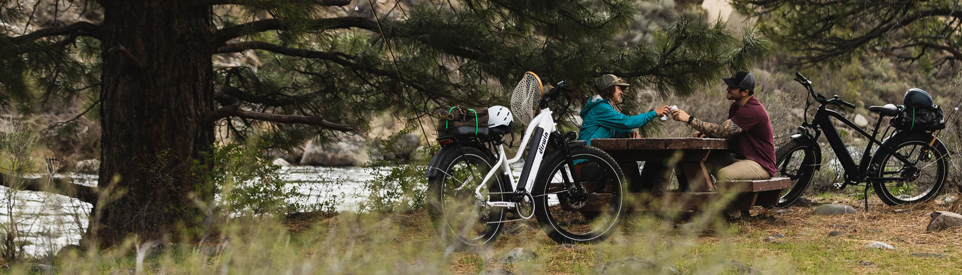 Dirwin Electric Bikes | Commuter & Off-Road eBikes