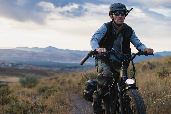 Pioneer Electric Bike