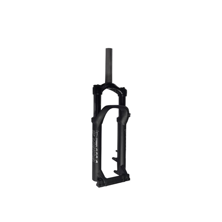 Dirwin Bike Fork