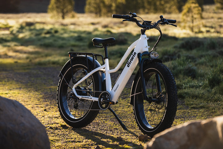 Dirwin Pioneer Step-thru Fat Tire Electric Bike