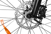 Dirwin Bike ，Pioneer Fat Tire Electric Bike , Disk Brake
