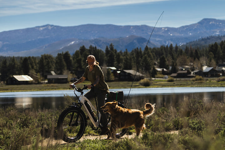 Dirwin Pioneer Step-thru Fat Tire Electric Bike