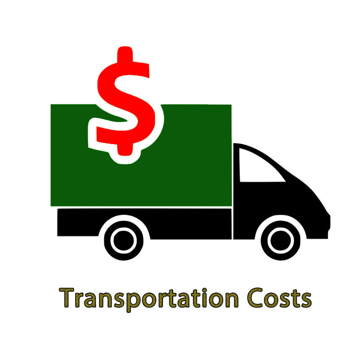 Dirwin Bike Transportation Costs