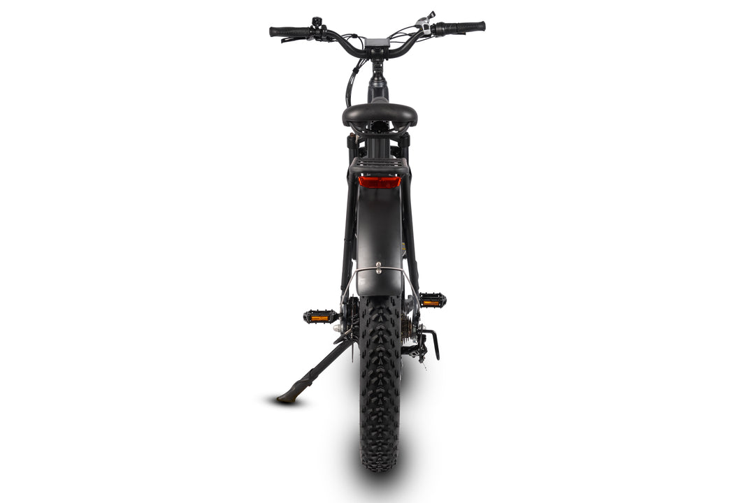 Pioneer Step Through Fat Tire Electric Bike