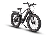 Dirwin Bike ，Pioneer Fat Tire Electric Bike