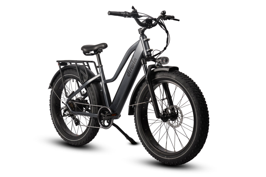 Dirwin Pioneer Step-thru Fat Tire Electric Bike