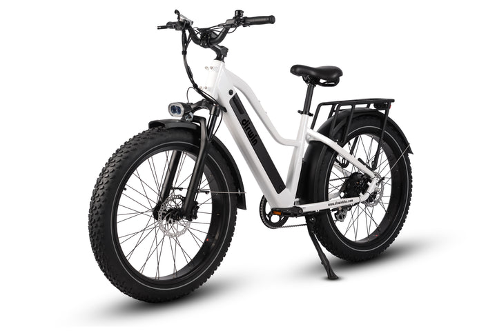 Dirwin Pioneer Step-thru Fat Tire Electric Bike